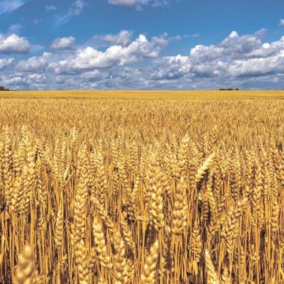 Пользователь не активен